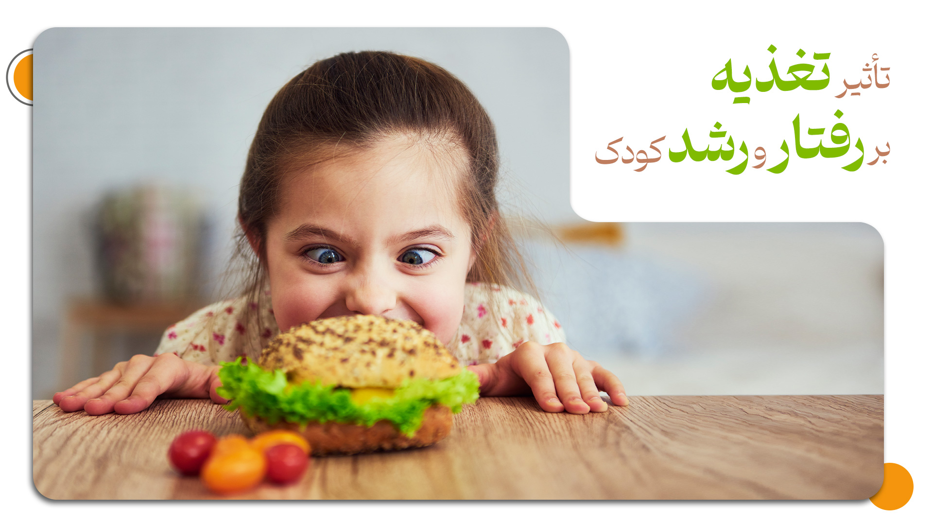 تاثیر تغذیه بر رفتار